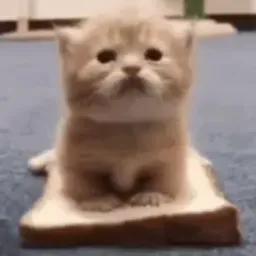 GWDdoS